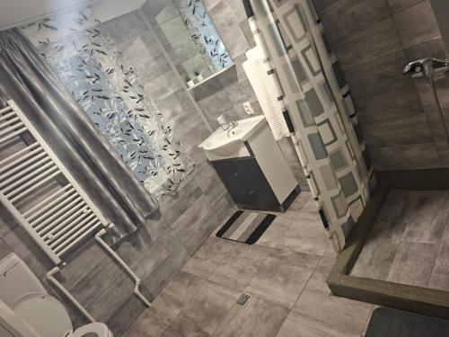 a bathroom with a sink and a toilet at Casa ROOL in Turda