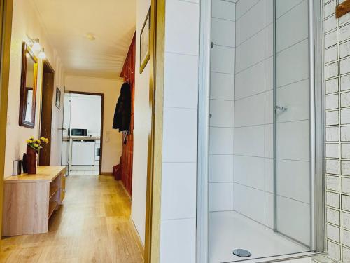 a bathroom with a shower with a glass door at Zaunkönigs Nest in Böhl