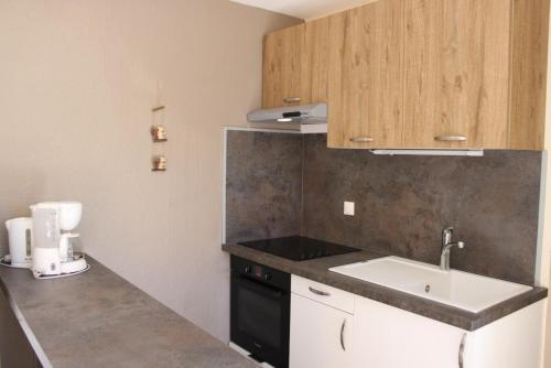 a kitchen with a sink and a counter top at Les biches in Roubion