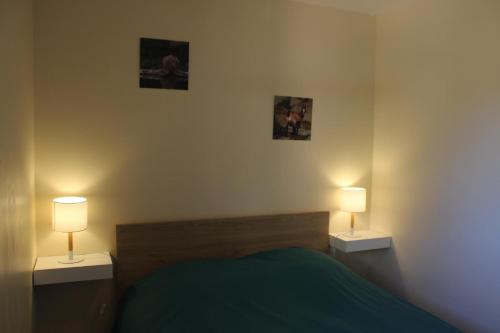a bedroom with a bed and two lamps on tables at Les biches in Roubion