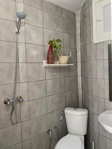 a bathroom with a shower and a toilet and a sink at Birdhouse Sidi Bou Said in Dar Mimoun Bey