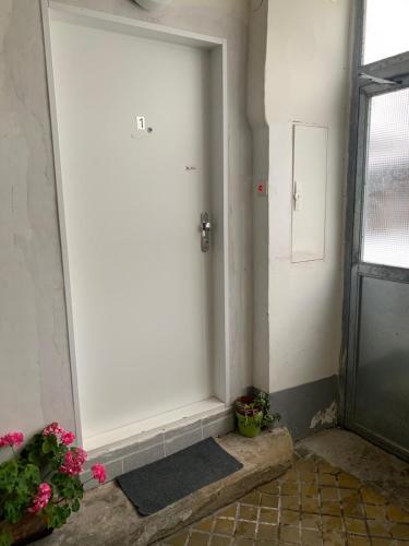 Apartment vis á vis Schönbrunn with private parking