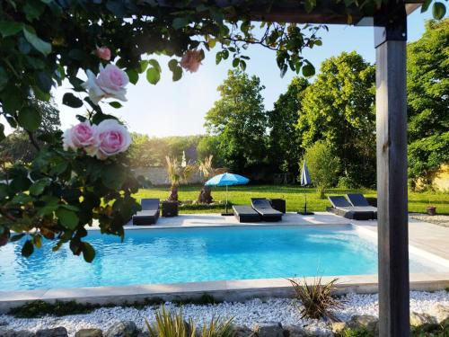a swimming pool with lounge chairs and flowers at Le Clos de la Commanderie in Amboise
