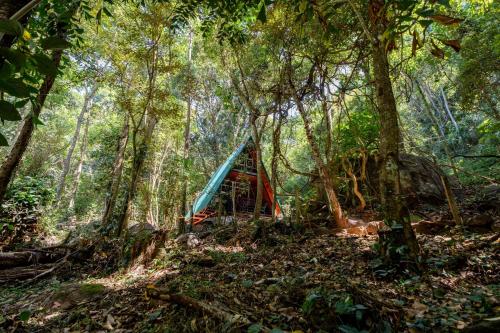 a tent in the middle of a forest at Sandungira Eco Resort in Belihuloya