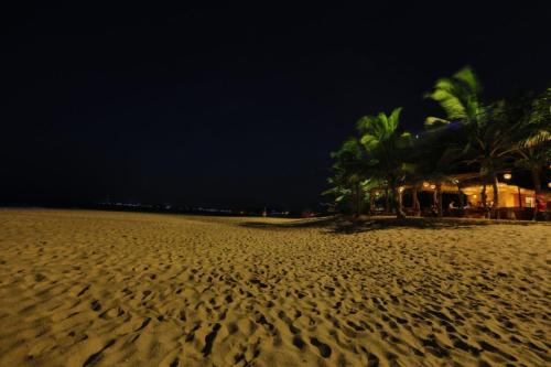 a beach at night with palm trees and a building at Mangrove Beach Cabana in Tangalle