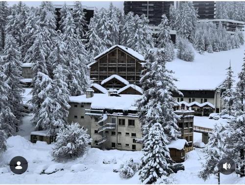 a building in the snow with snow covered trees at Mandala in Vars