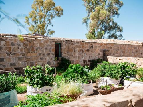 a brick building with plants in front of it at Namibgrens Guest Farm in Namibgrens