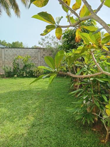 a garden with green grass and a fence at Jaya Rest house in Unawatuna