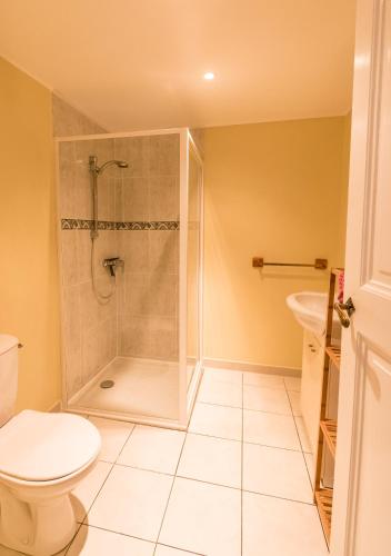 a bathroom with a shower and a toilet at Eloi Merle Gîtes in Olonzac