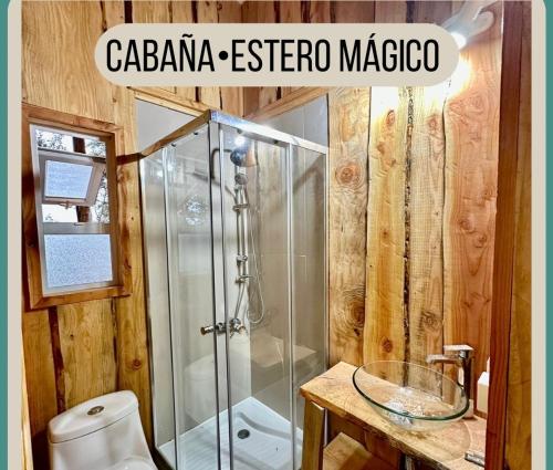 a bathroom with a shower stall and a toilet at Cabaña Estero Mágico in Cochamó