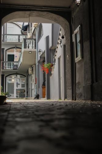 an empty alley with a potted plant in a building at VANIMI lux apartmani in Kikinda