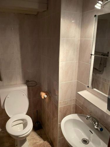 a bathroom with a toilet and a sink at apartman FML Cres in Cres