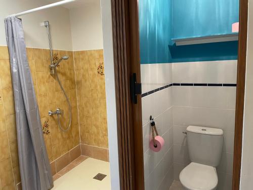 a bathroom with a shower and a toilet and a shower at Gîte centre coulon - Le Héron in Coulon