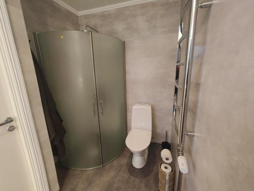 a small bathroom with a toilet and a shower at New Central Apartment in Östhammar