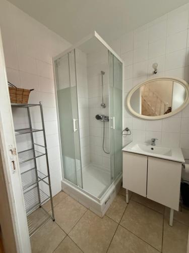 a bathroom with a shower and a sink at Duplex proche aéroport CDG et Paris in Sarcelles
