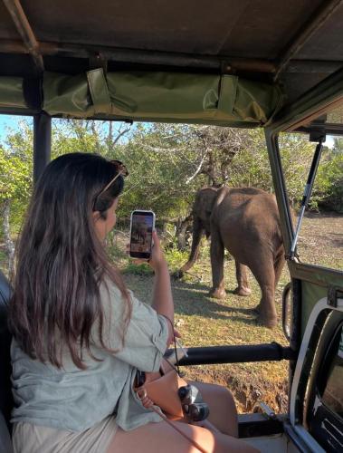 a woman taking a picture of an elephant from a vehicle at Meegas Sewana Resort in Minneriya