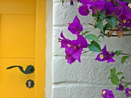 Kostoulis Traditional House