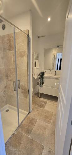 a bathroom with a shower and a sink at Le Patio de l'Isle 2nd Duplex in Périgueux