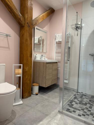 a bathroom with a shower and a toilet and a sink at La Belle Cachette in Matougues