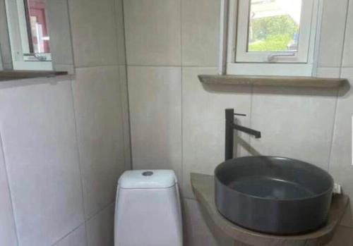 a bathroom with a sink and a toilet at HAL908-Skummesloevsstrand-Rundan-37 in Skummeslövsstrand