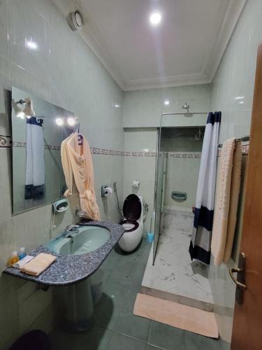 a bathroom with a sink and a toilet and a shower at Valencia Hotels Abuja in Abuja