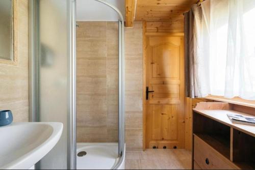 a bathroom with a shower and a sink at Mała Toskania in Kawec