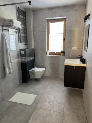 a bathroom with a toilet and a sink and a window at Apartamenty Polna Ostoja in Tylicz
