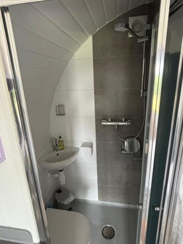 a small bathroom with a sink and a shower at Four Paws Glamping in Aberystwyth