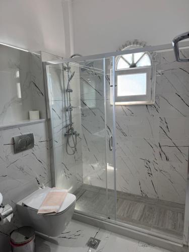 a bathroom with a shower and a toilet at Regina Nina in Vasilátika