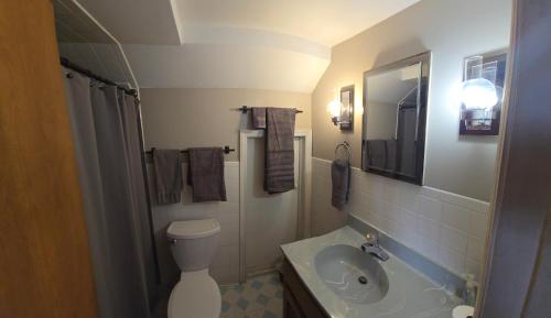 a small bathroom with a toilet and a sink at Roaring Fork Chalet in Burnsville