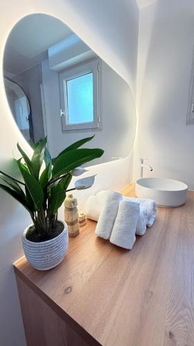 a bathroom with a sink and a plant on a counter at Casa Bali centre ville in Brie-Comte-Robert