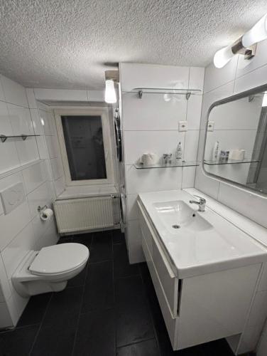2 Rooms in Center of Zürich HB Station