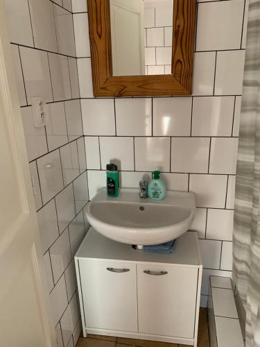 a bathroom with a sink and a mirror at Apartmans ZBYTINY 21 in Zbytiny