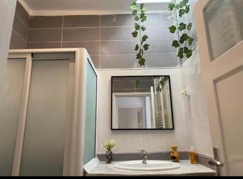 a bathroom with a sink and a mirror and a shower at Studio Authentique à Sidibousaid in Dar Salah Bey