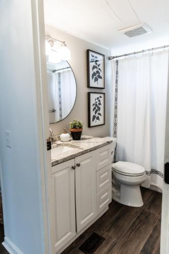 a bathroom with a toilet and a sink and a mirror at The Cottage at Cardinal Hill in Dahlonega