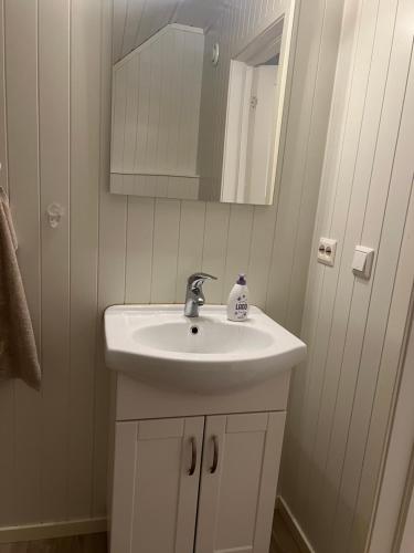 a bathroom with a white sink and a mirror at Lofoten - Spacious Room in Vestvågøya