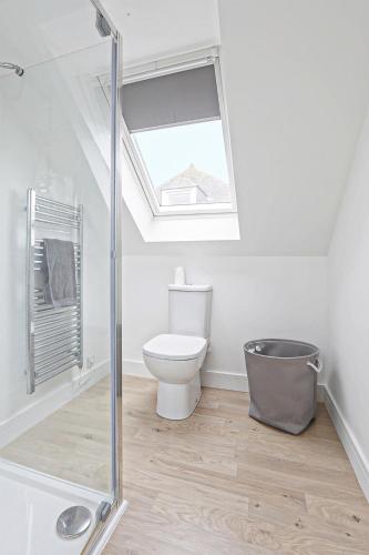 a bathroom with a toilet and a skylight at The Loft modern flat in the heart of Wadebridge in Wadebridge