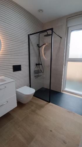 a bathroom with a shower and a toilet and a window at Casa Huidobro Valle II in Sardón de los Frailes