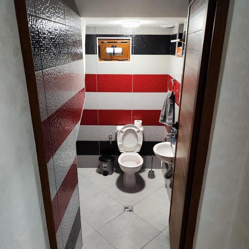 a small bathroom with a toilet and a sink at Спа къща Нико in Elkhovo