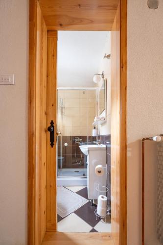 a bathroom with a sink and a toilet in a room at Our House Apartments in Kolašin