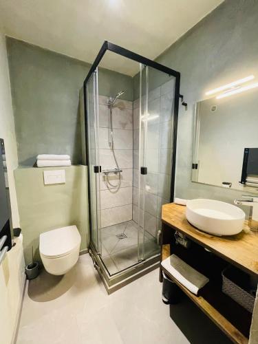 a bathroom with a shower and a toilet and a sink at Le Chaplin face au lac Léman in Évian-les-Bains