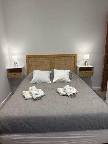a bed with two pillows on it with two night stands at Appartement plein centre avec jardin de 40m2 près des plages in Propriano
