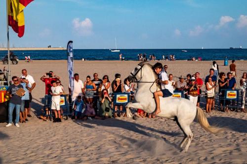 PINEDO PLAYa