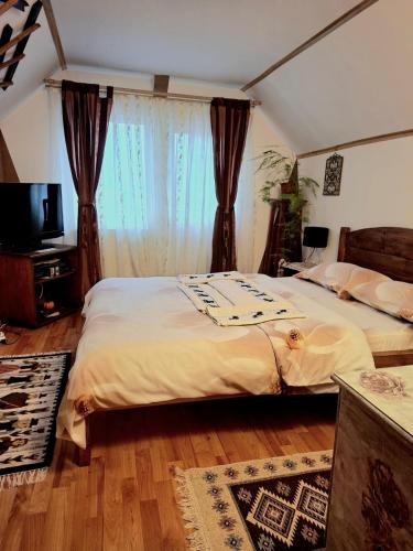 a bedroom with two beds and a television in it at Edelweiss Ilinca in Zărneşti