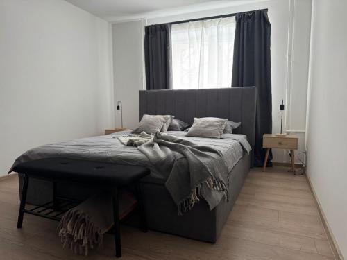 a bedroom with a large bed and a window at Central Apartment in Jelgava