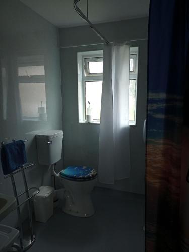 a bathroom with a toilet with a blue seat at Rosemarie's B&B in Lochcarron