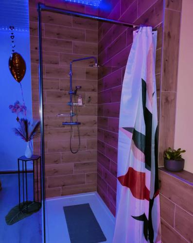 a shower in a bathroom with a brick wall at Le relax & vous in La Louvière