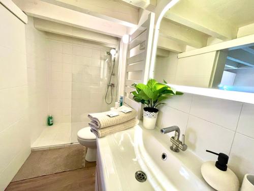 " Loft Languedoc " Mezzanine - Carmes - Wi-Fi