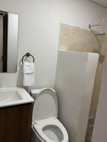 a bathroom with a white toilet and a sink at Ciudad Merliot, casa Don Pablo in Hacienda Plan de La Laguna