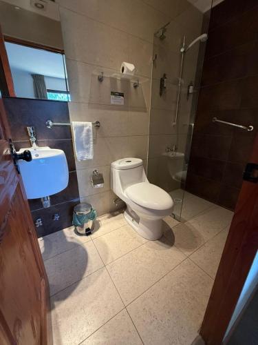 Снимка в галерията на Hotel Origenes в Валенар